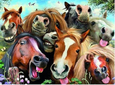 Horses Funny Diamond Painting Kit - DIY